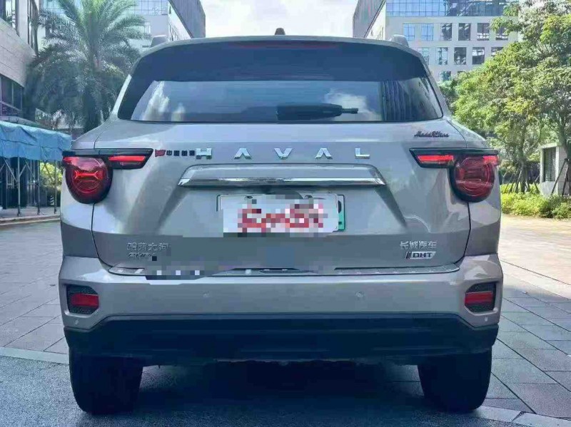 湛江23年哈弗大狗9