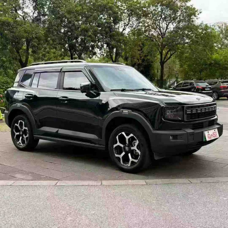 珠海25年奇瑞捷途2