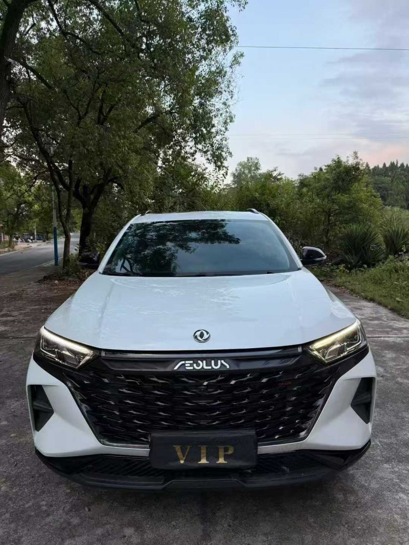 长沙23年东风风神1