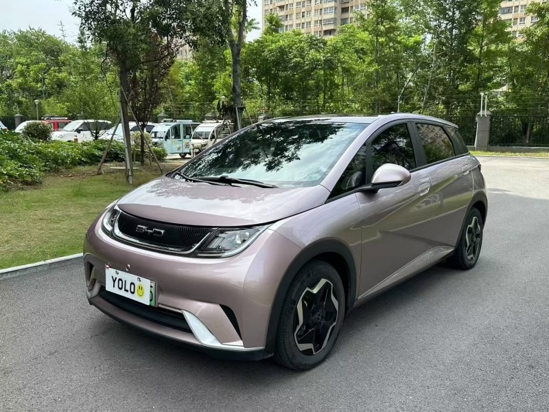 徐州23年比亚迪海豚4