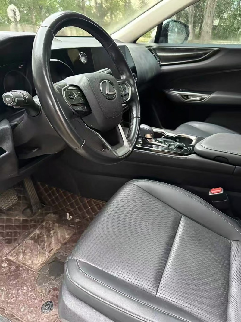 菏泽22年雷克萨斯NX6
