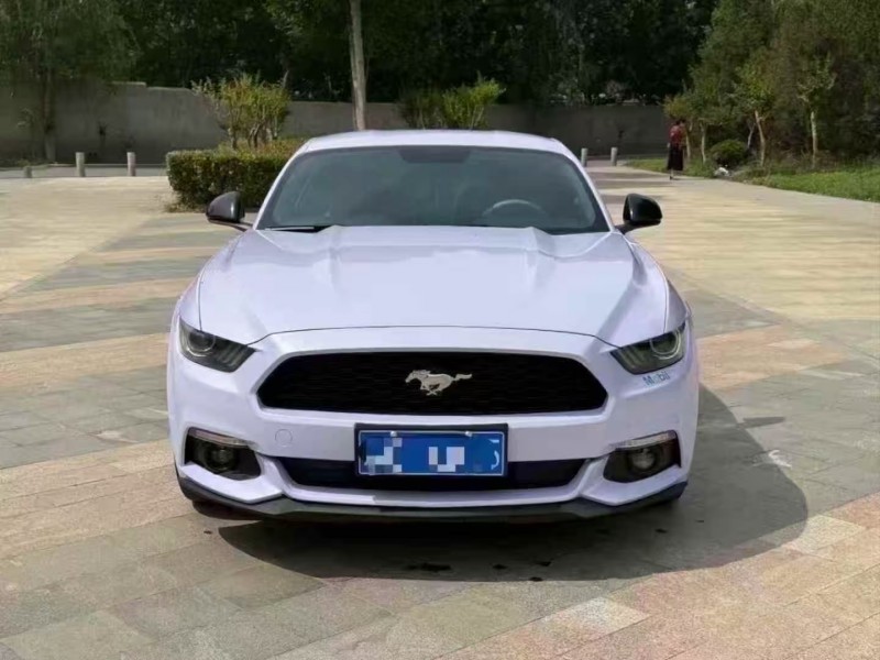 菏泽17年福特野马1