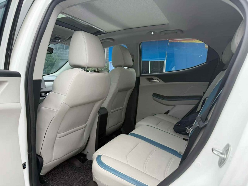 张家口23年比亚迪元6