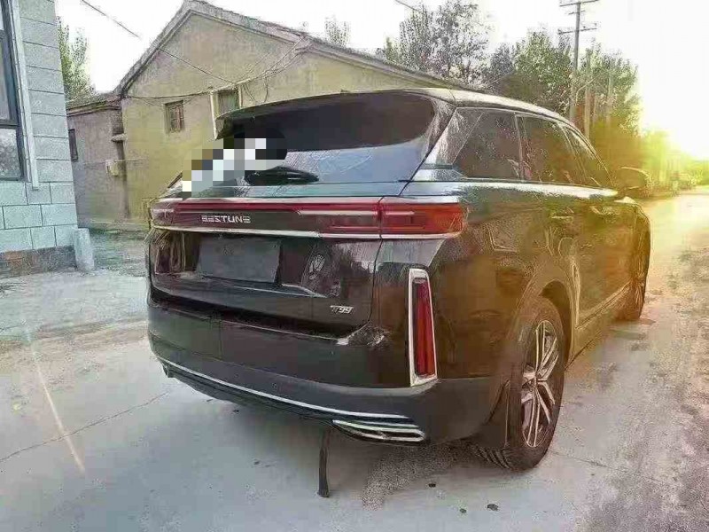 潍坊20年奔腾T998