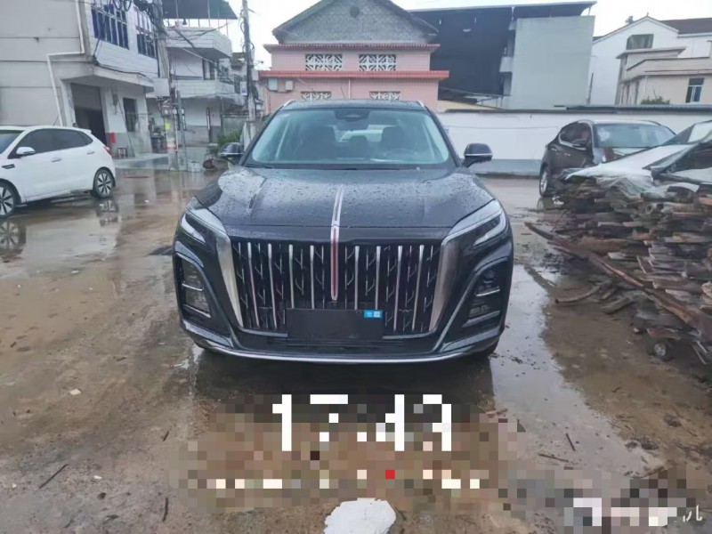 菏泽25年红旗HS31