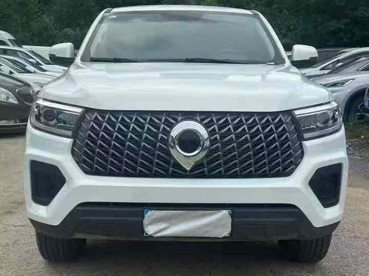 常德24年长城汽车炮 皮卡1