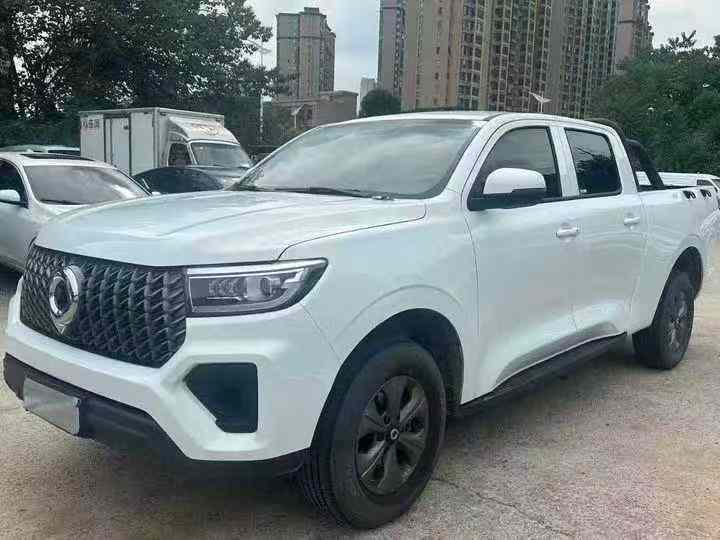 常德24年长城汽车炮 皮卡3