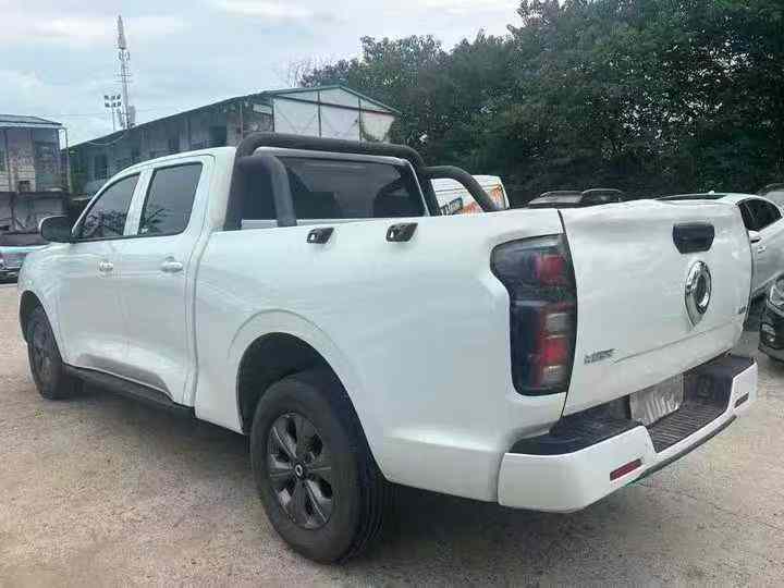 常德24年长城汽车炮 皮卡7