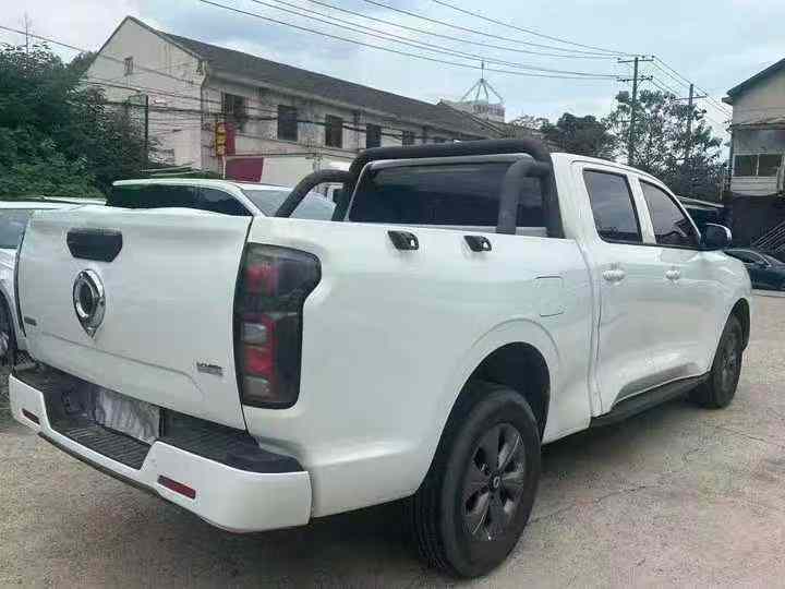 常德24年长城汽车炮 皮卡8