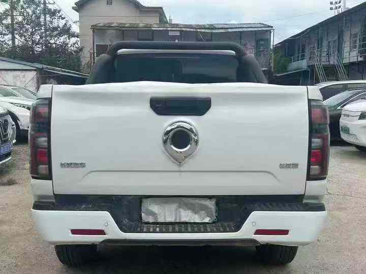 常德24年长城汽车炮 皮卡9