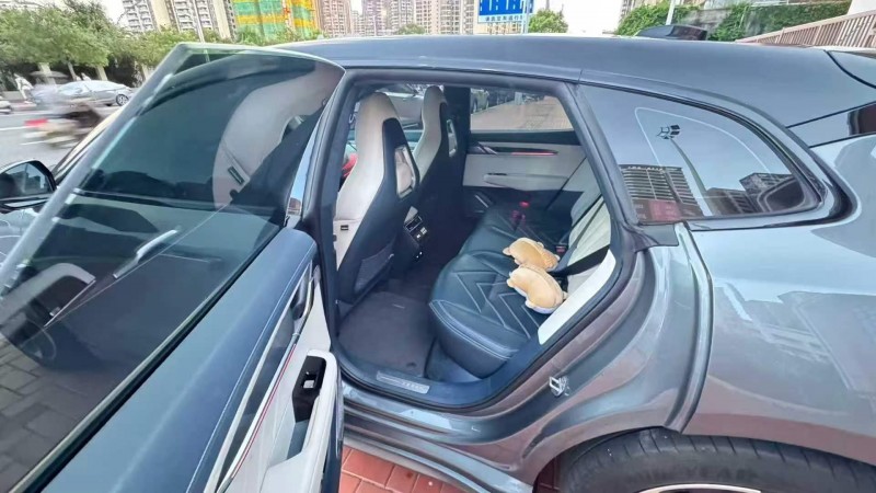 广州23年极氪汽车0014