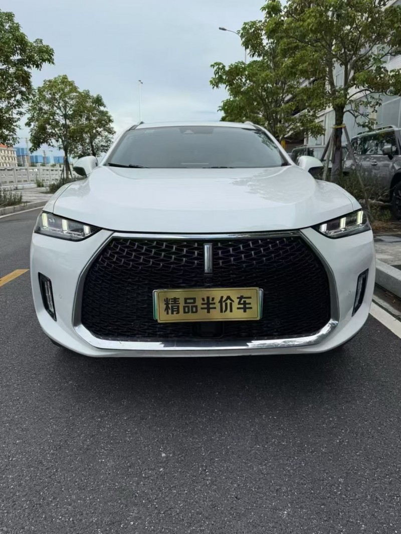 珠海18年长城汽车魏牌1