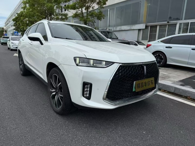 珠海18年长城汽车魏牌2