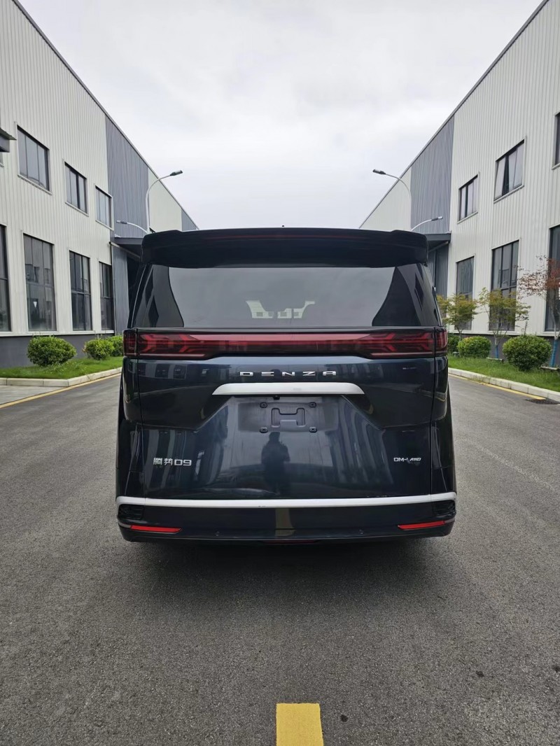 徐州22年腾势D99