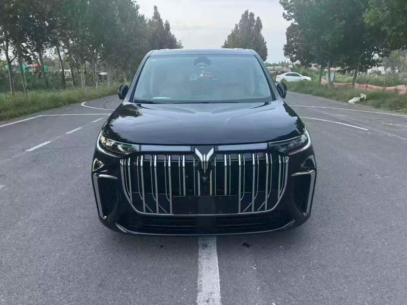 枣庄23年岚图汽车梦想家1