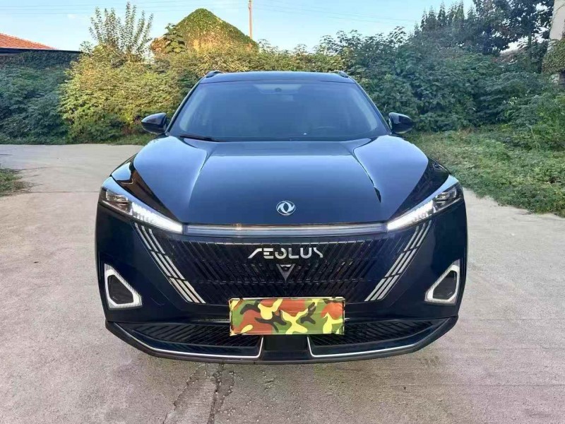 淄博24年东风风神1