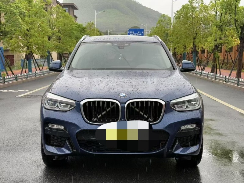 厦门19年宝马X31