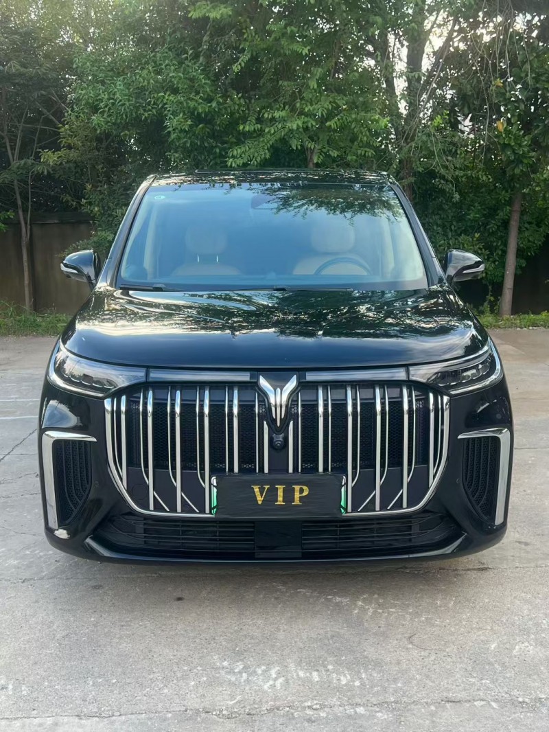 徐州24年岚图汽车梦想家1