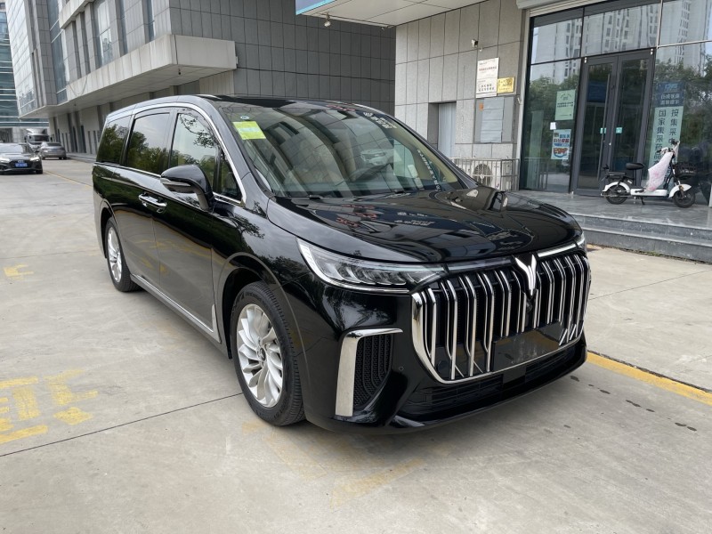 济宁24年岚图汽车梦想家2