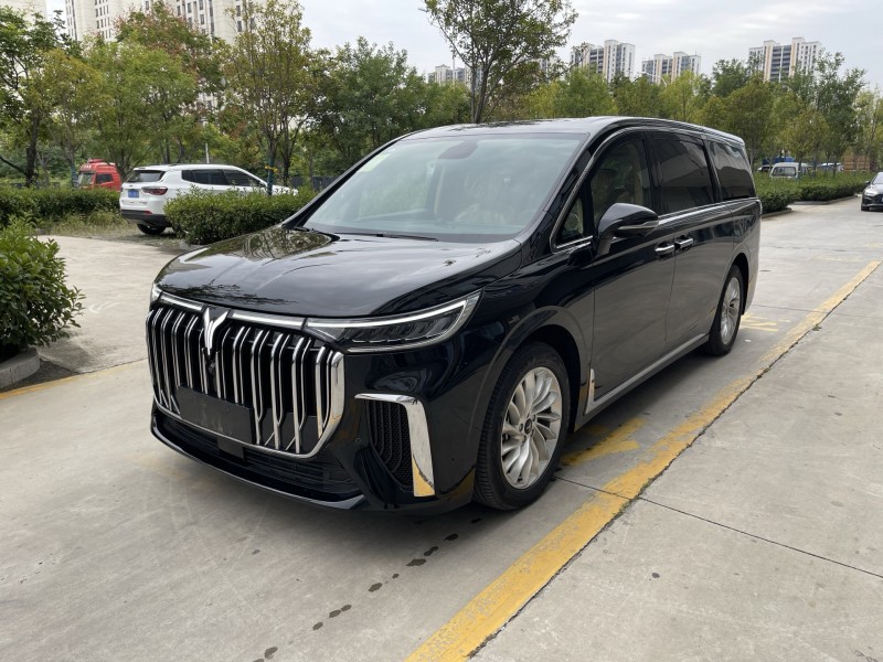 济宁24年岚图汽车梦想家3