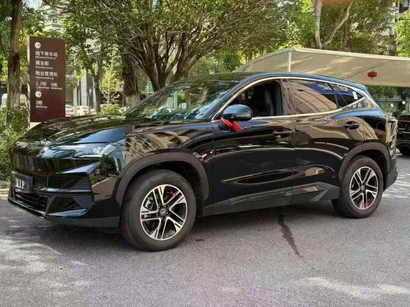 常德25年奇瑞捷途2