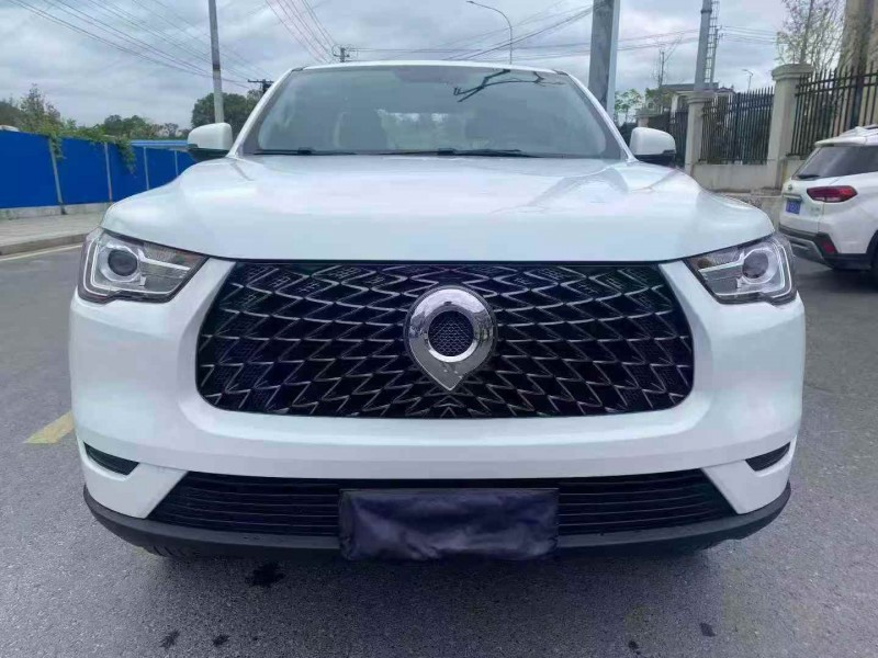 湘潭20年长城汽车炮 皮卡1