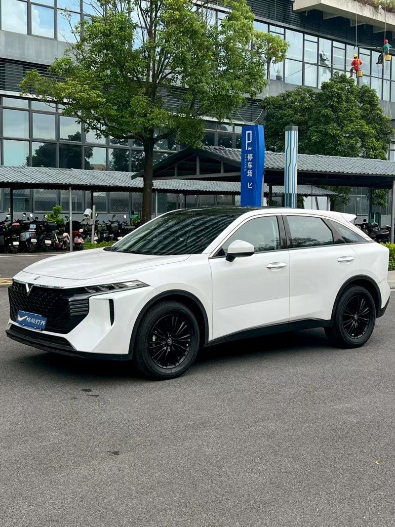 东莞22年启辰大V3