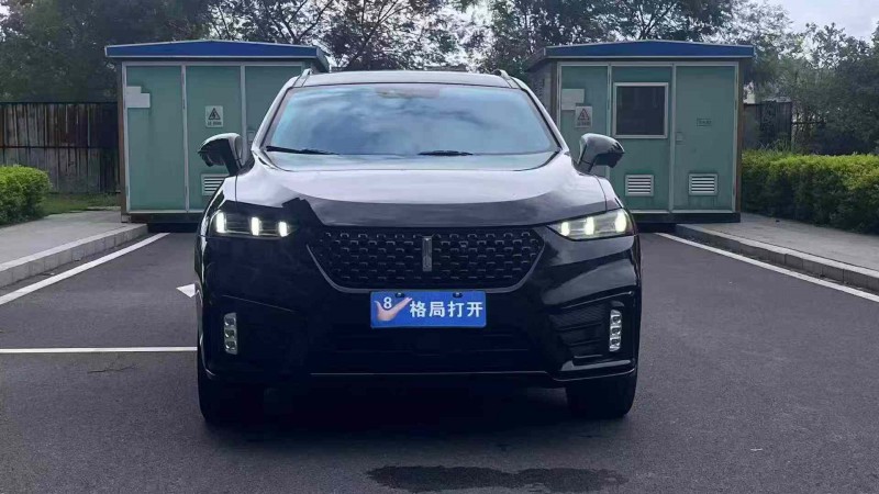 东莞20年长城汽车WEY1