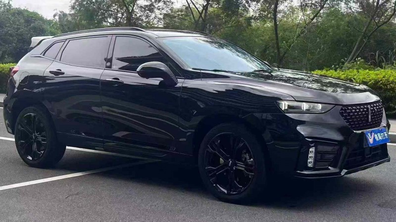 东莞20年长城汽车WEY2