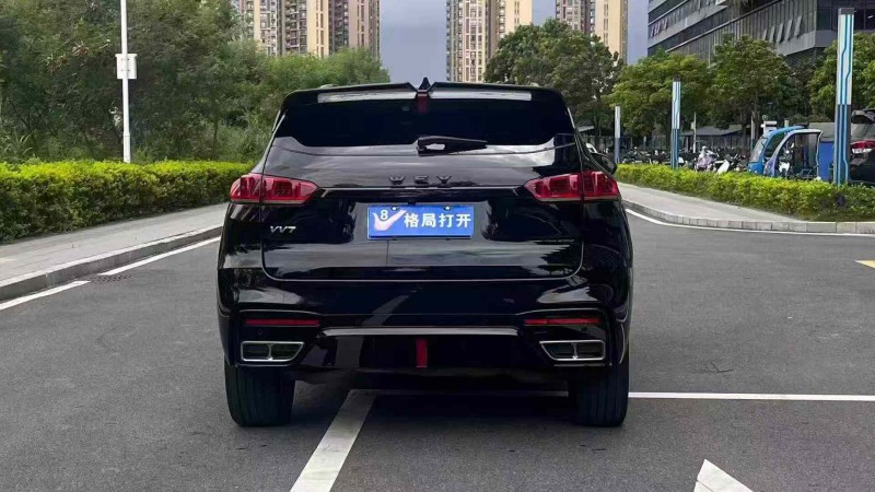 东莞20年长城汽车WEY9