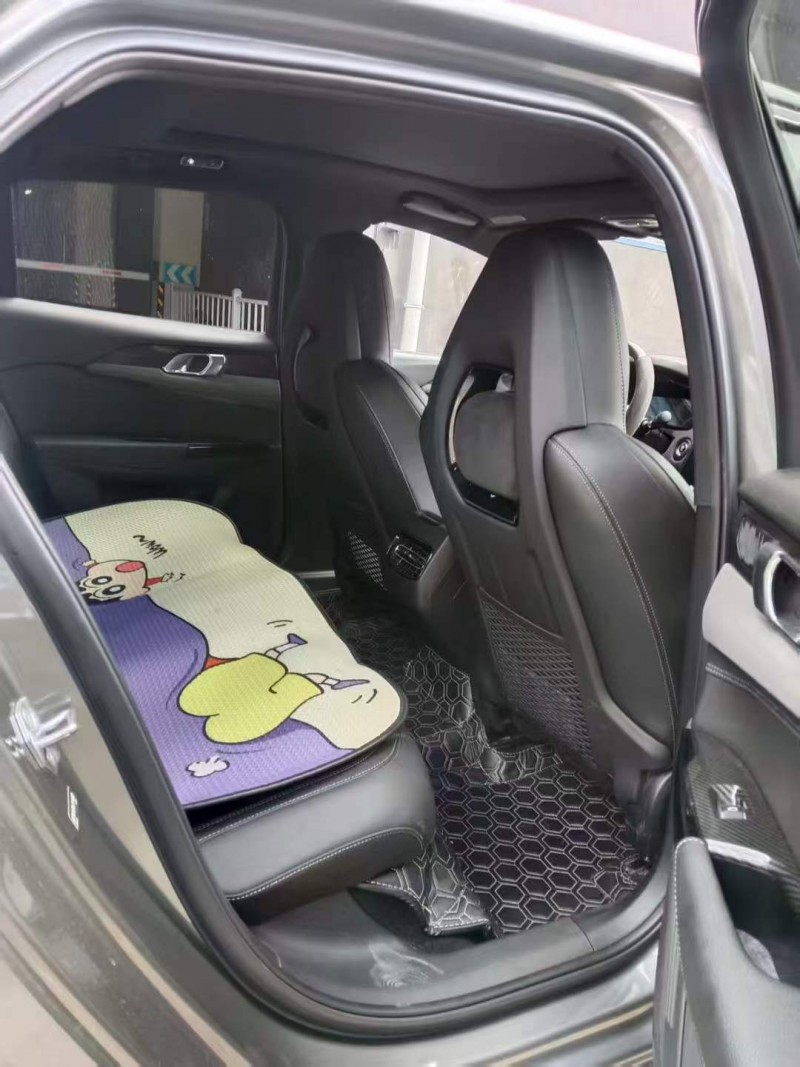 贵阳21年领克036