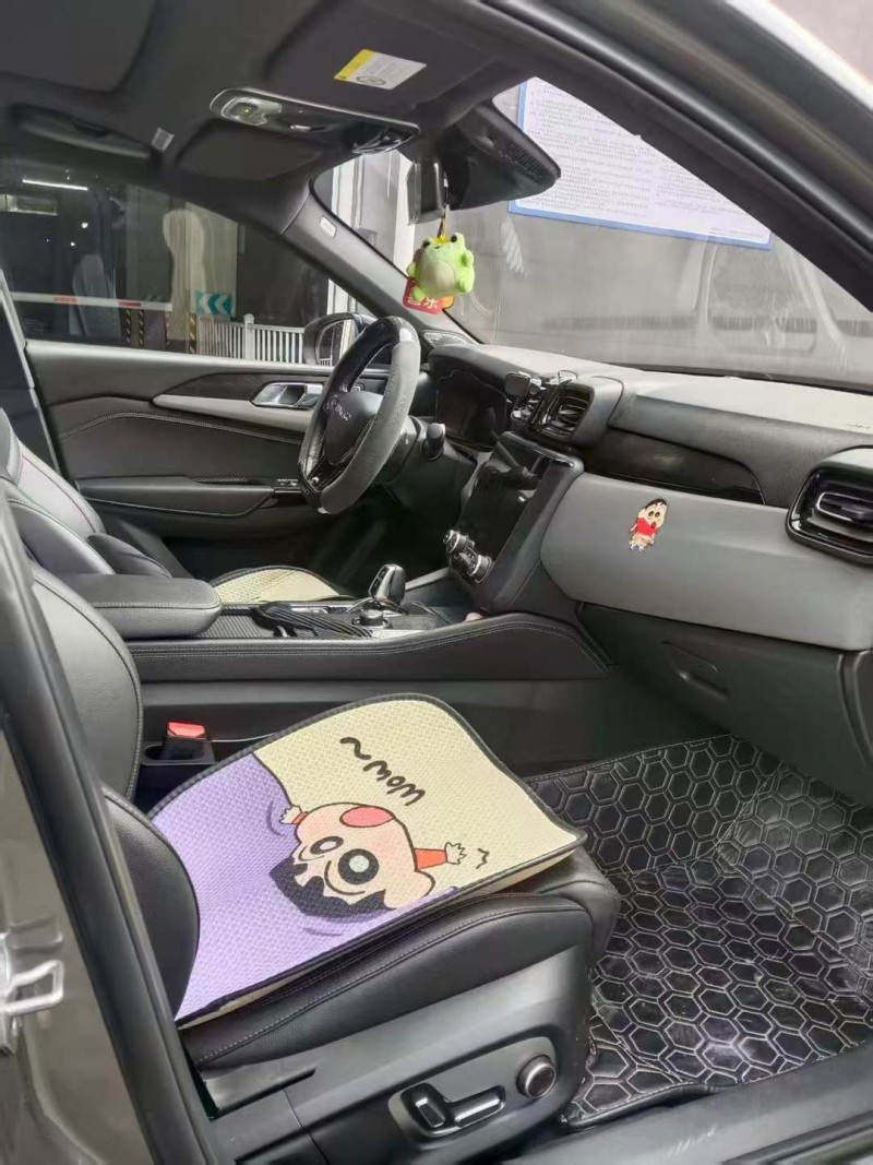 贵阳21年领克038