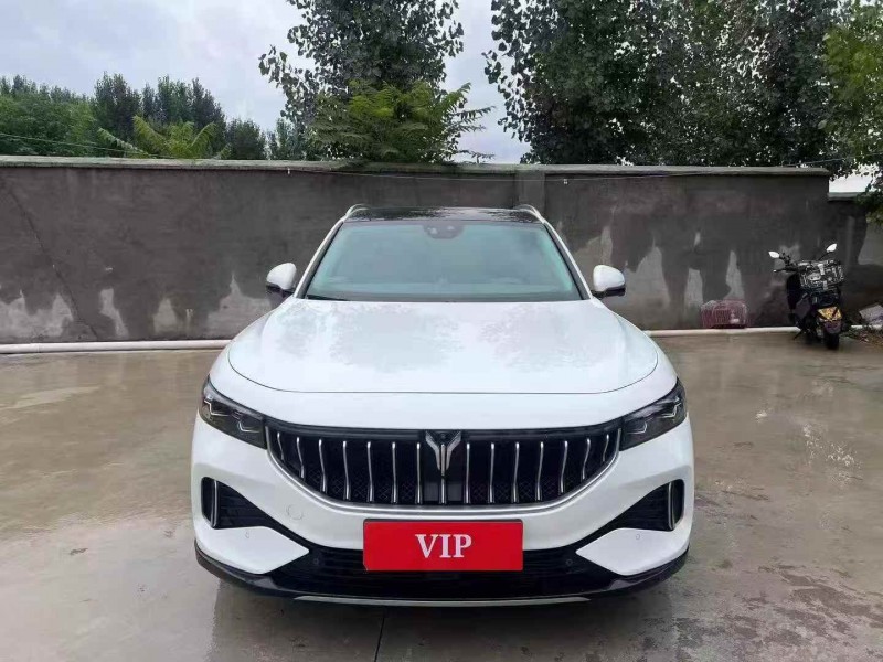 潍坊22年岚图汽车FREE1