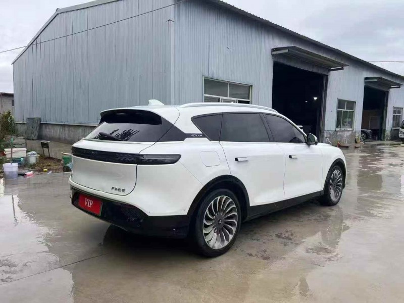 潍坊22年岚图汽车FREE7