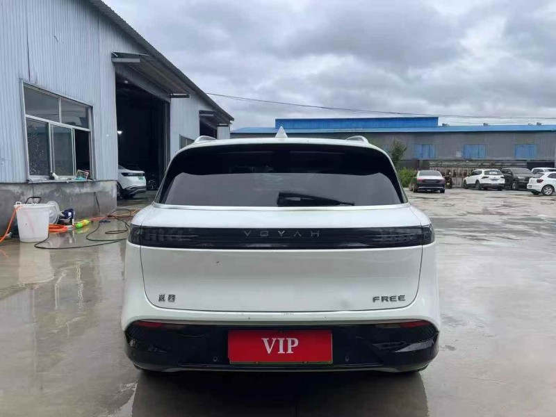 潍坊22年岚图汽车FREE9