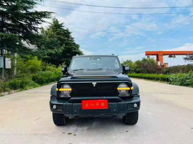 枣庄22年长城汽车坦克1