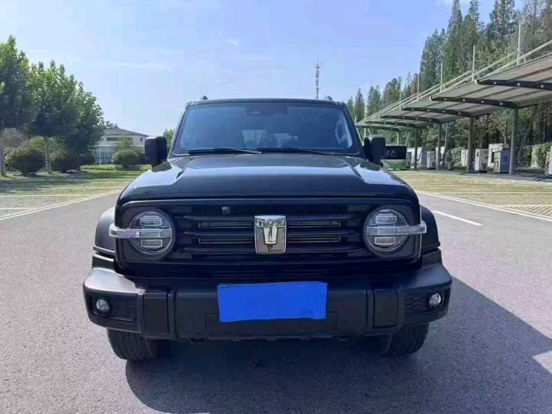 徐州25年长城汽车炮 皮卡1