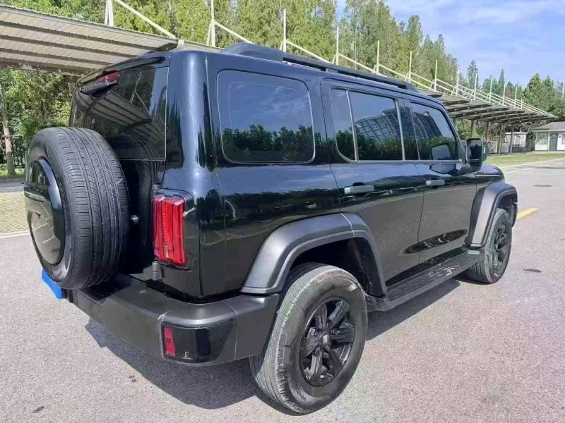 徐州25年长城汽车炮 皮卡8