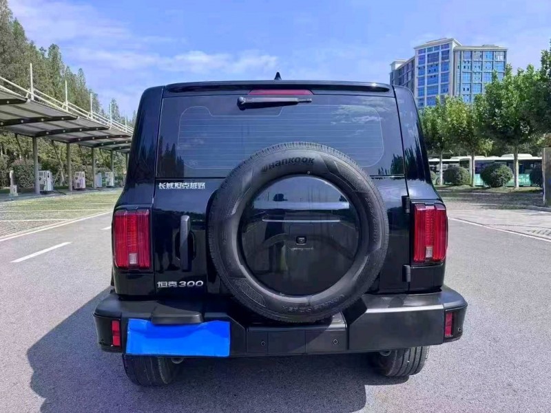 徐州25年长城汽车炮 皮卡9