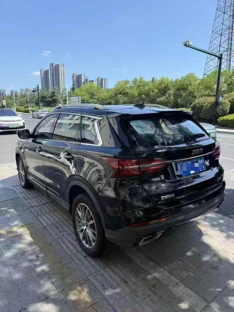 湖州19年SWM斯威汽车G018