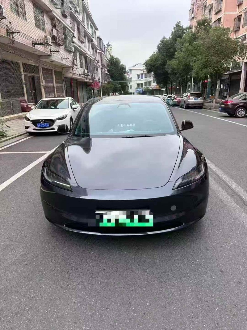 张家界24年特斯拉MODEL 31