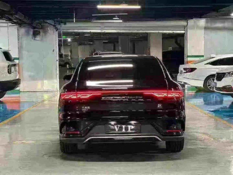 攀枝花23年比亚迪汉DM9