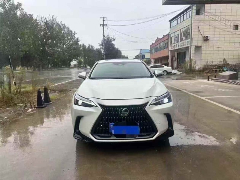 菏泽22年雷克萨斯NX1