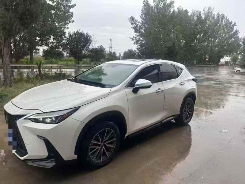 菏泽22年雷克萨斯NX3