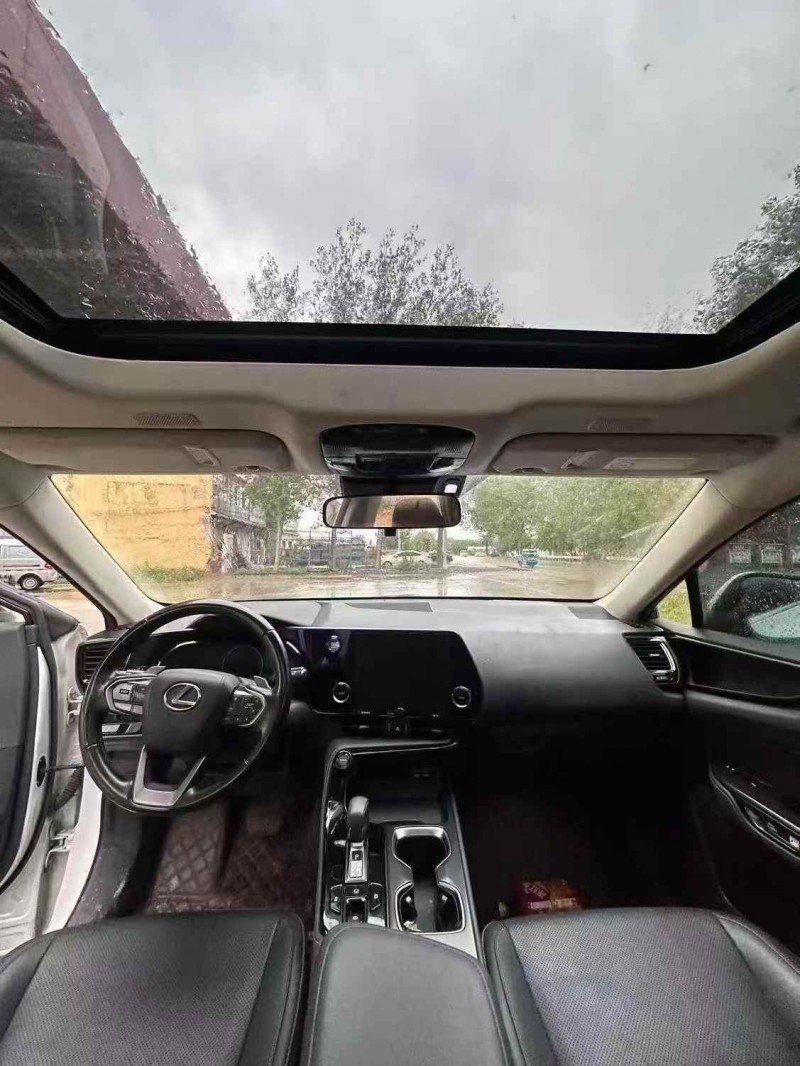 菏泽22年雷克萨斯NX4