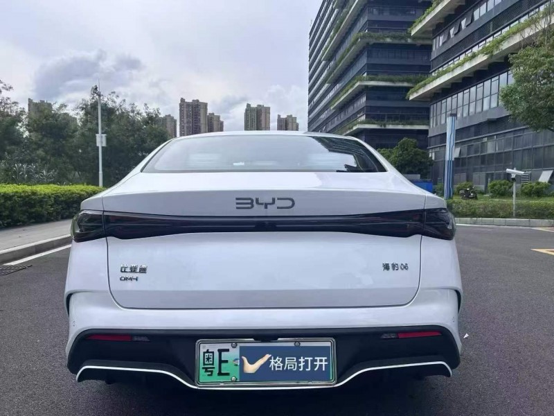 东莞25年比亚迪海豹9