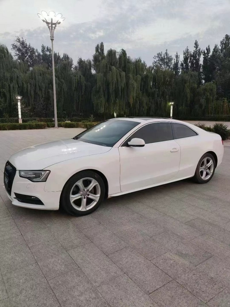 菏泽12年奥迪A52