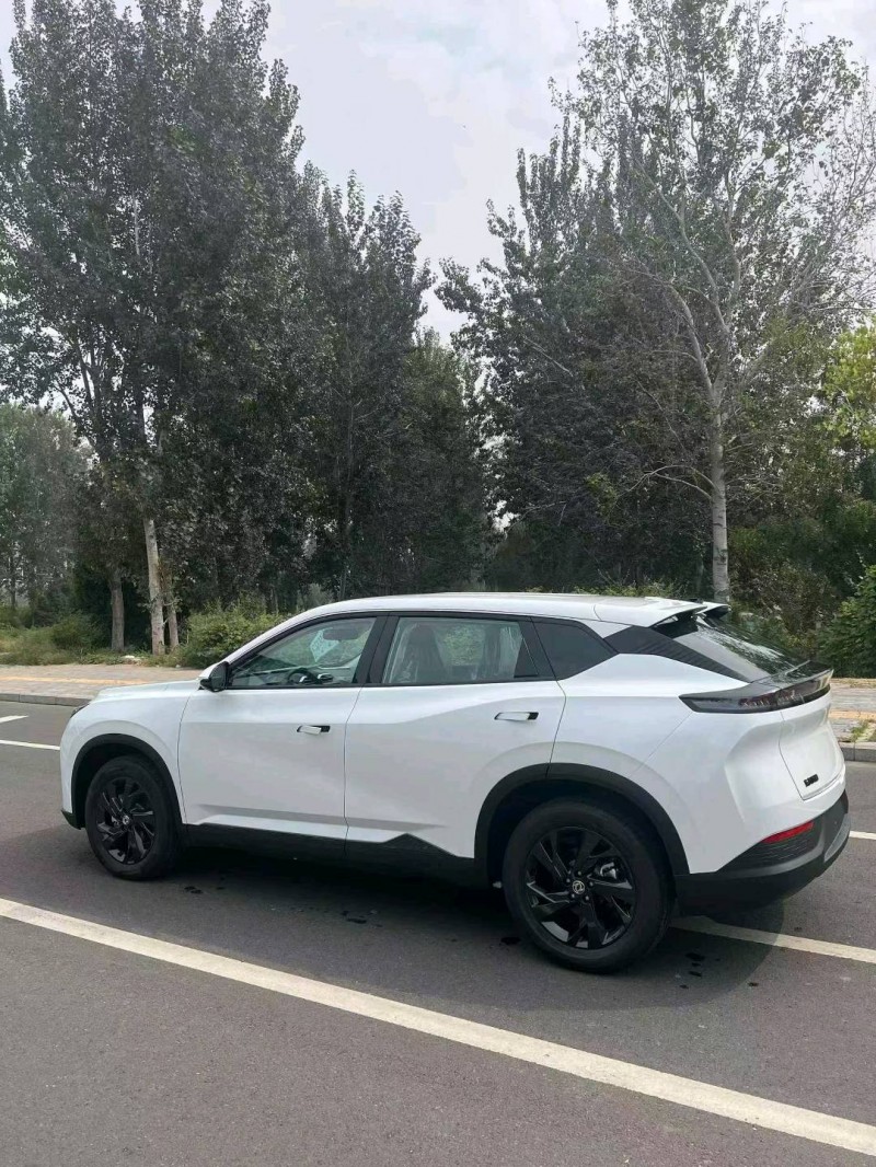 石家庄25年东风风神8