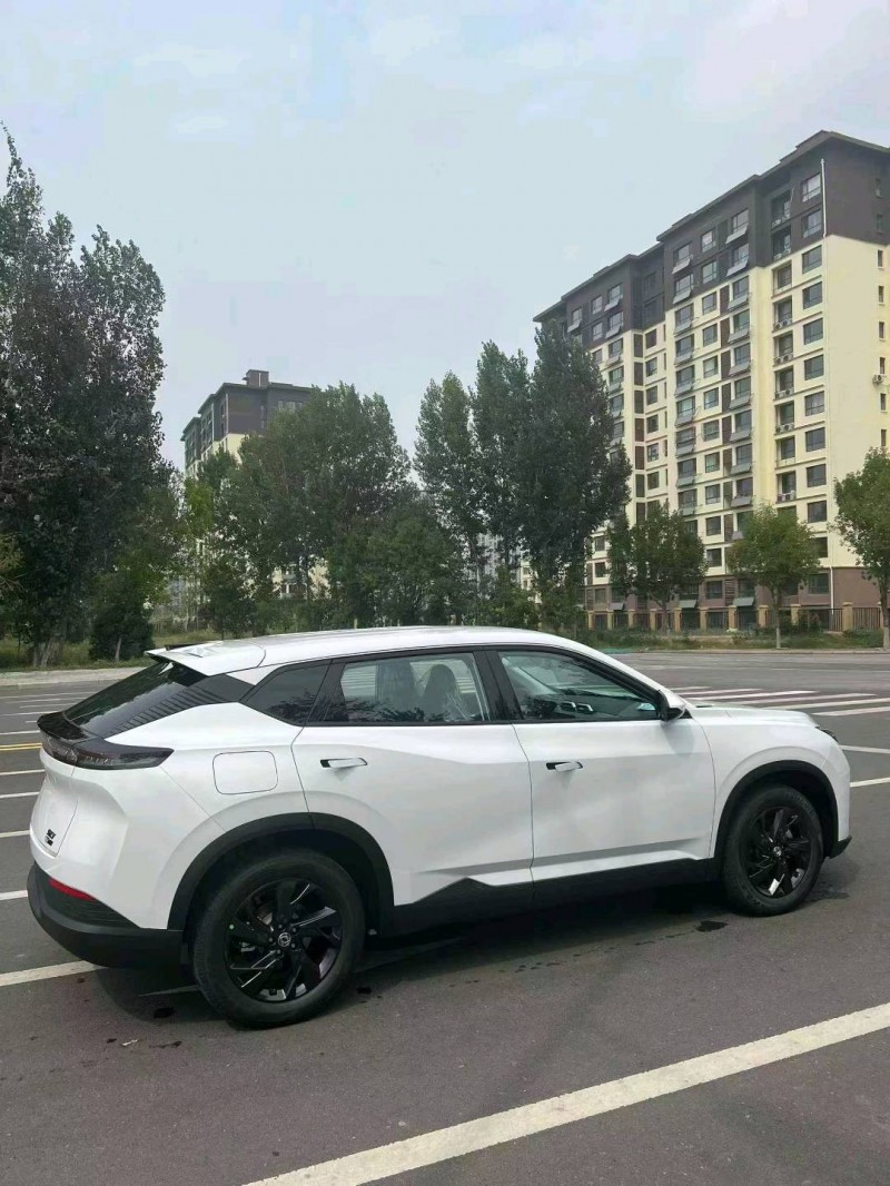 石家庄25年东风风神9