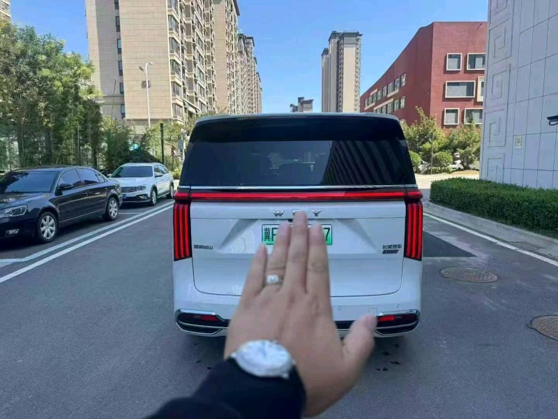 济南24年长城汽车魏牌9